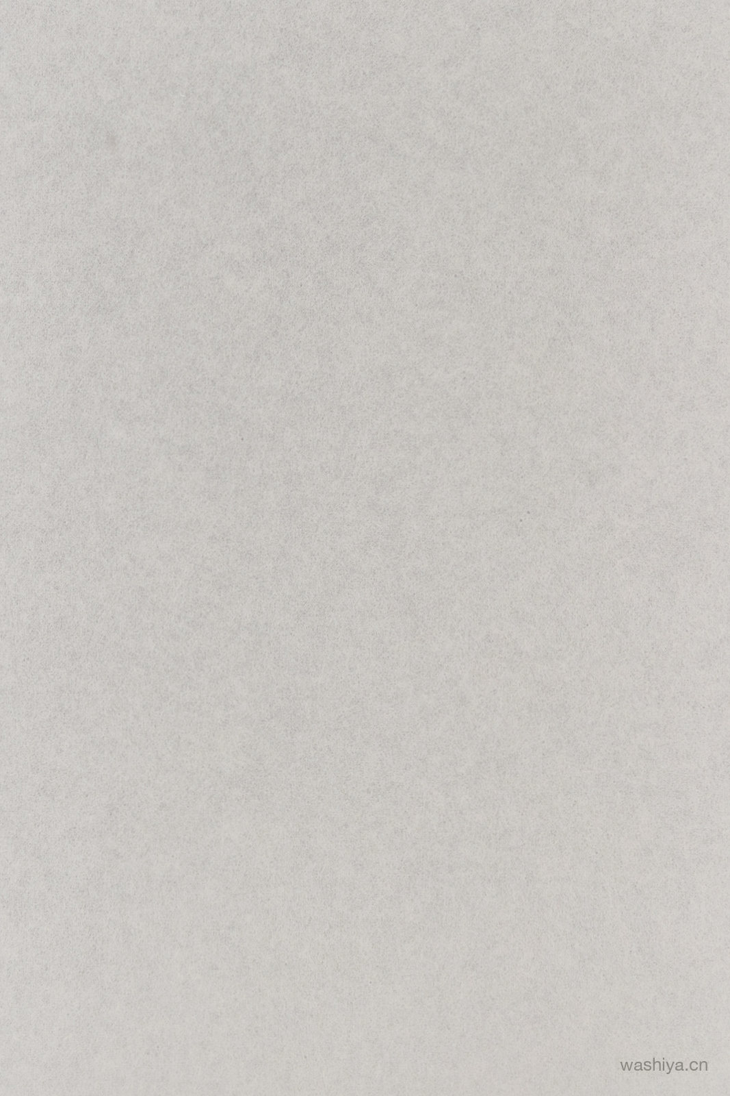 NO.61 和纸胶片纹样